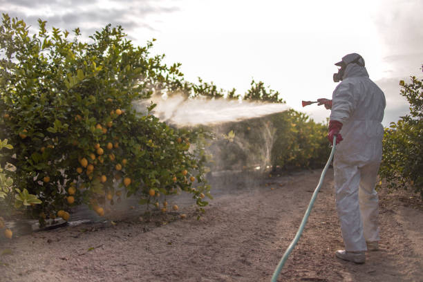 Best Mosquito Control Services  in Columbus, TX
