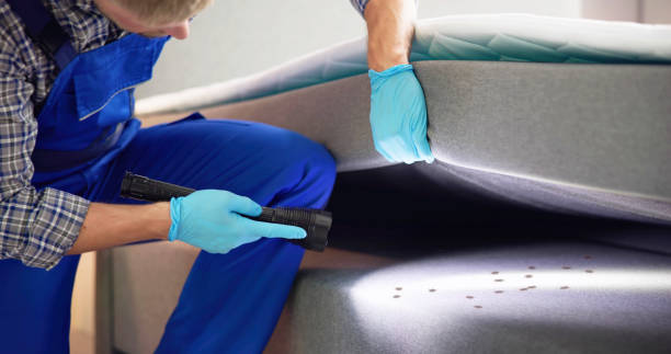 Best Residential Pest Control  in Columbus, TX