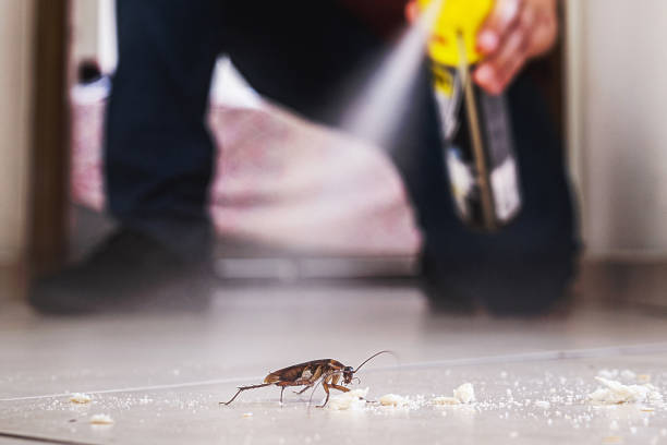 Best Commercial Pest Control Services  in Columbus, TX